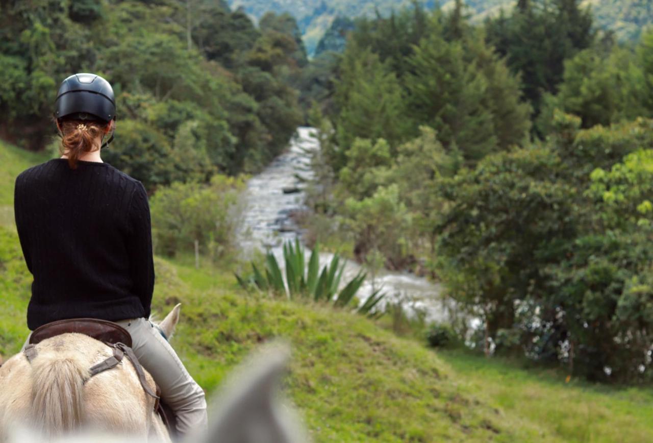 La Cabana Ecohotel - Valle Del Cocora Salento Zewnętrze zdjęcie