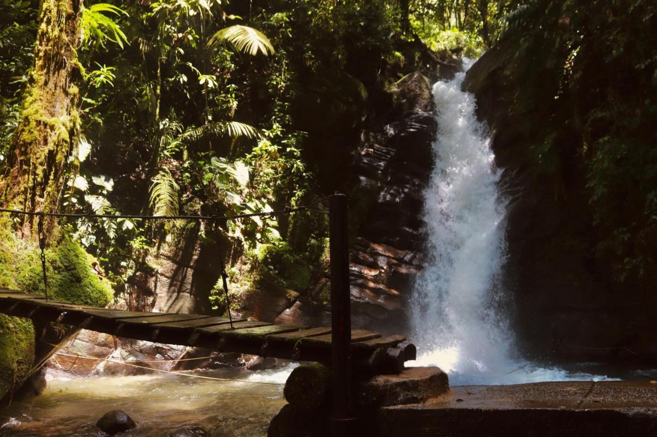 La Cabana Ecohotel - Valle Del Cocora Salento Zewnętrze zdjęcie