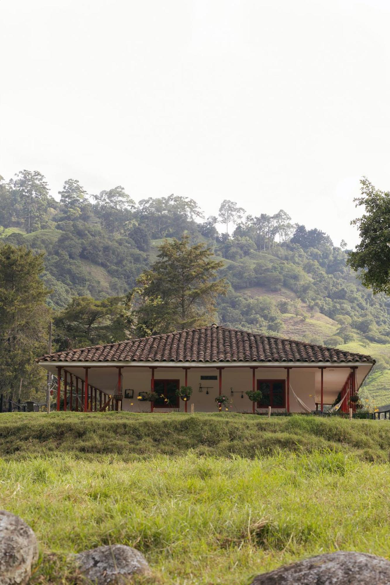 La Cabana Ecohotel - Valle Del Cocora Salento Zewnętrze zdjęcie