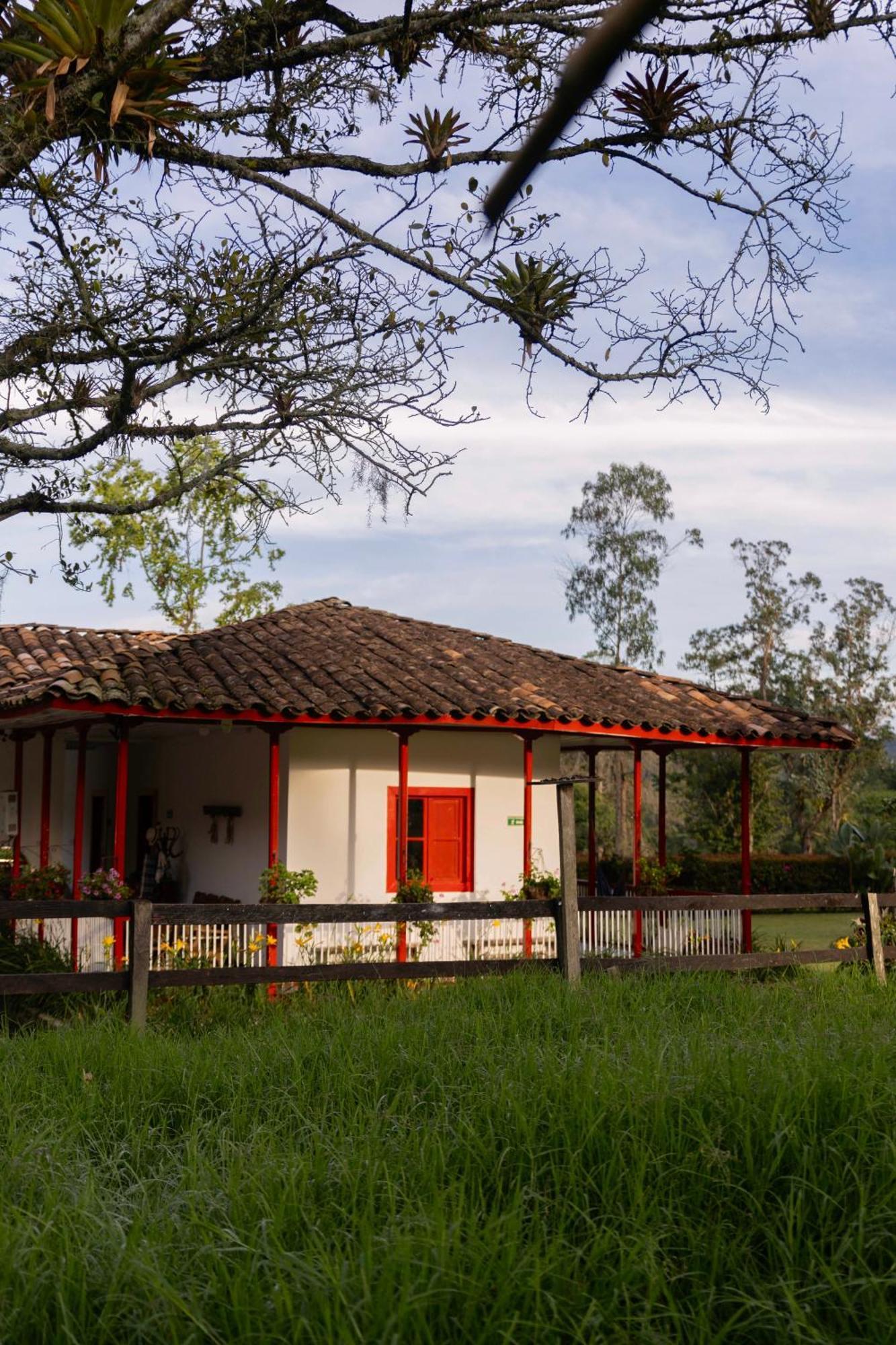 La Cabana Ecohotel - Valle Del Cocora Salento Zewnętrze zdjęcie