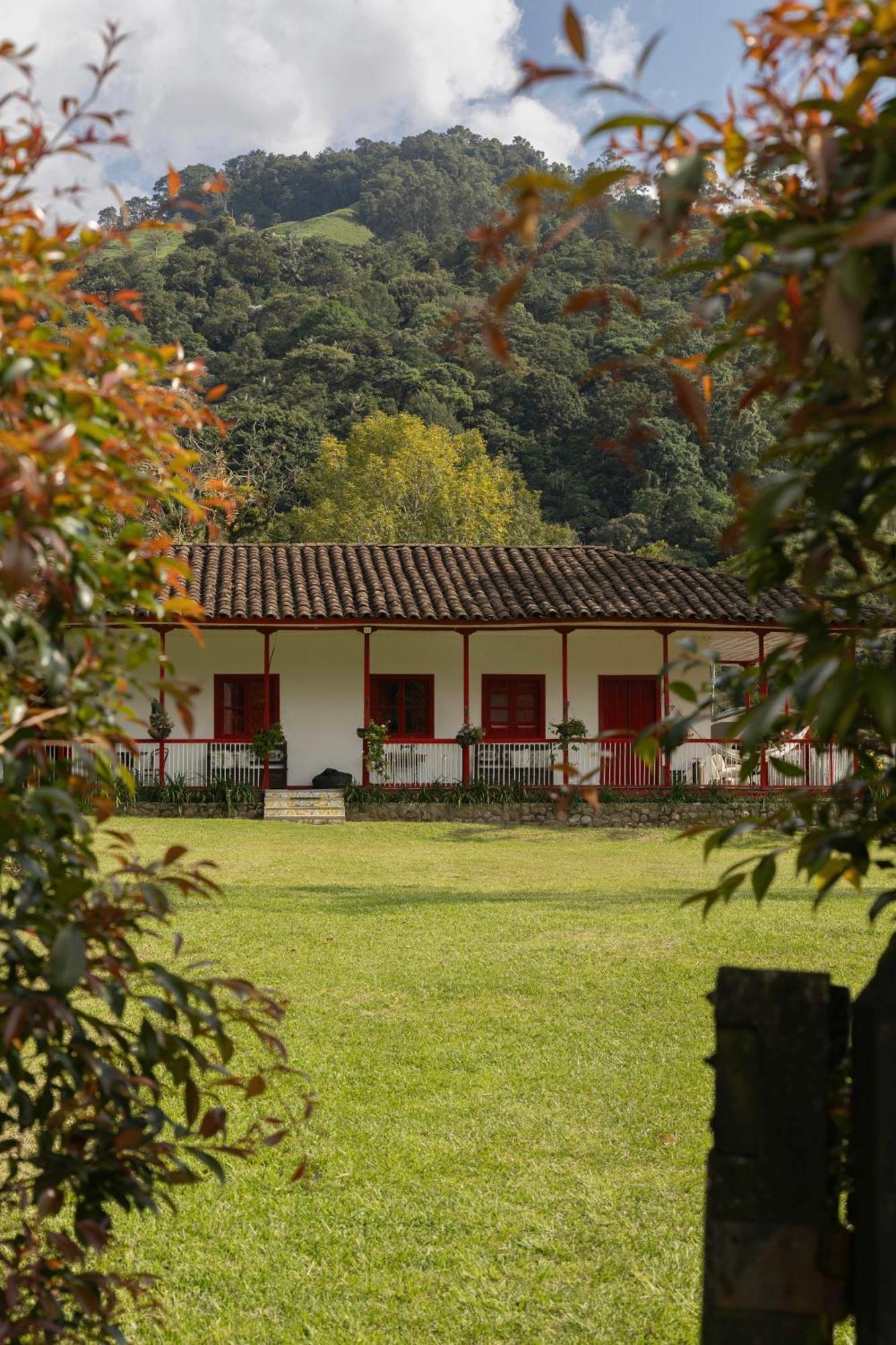 La Cabana Ecohotel - Valle Del Cocora Salento Zewnętrze zdjęcie