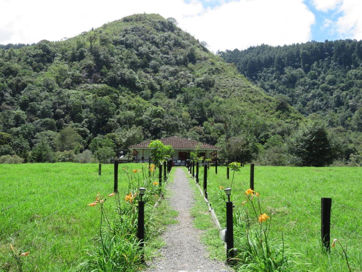 La Cabana Ecohotel - Valle Del Cocora Salento Zewnętrze zdjęcie